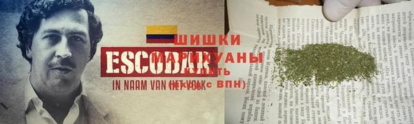гидра Богородск