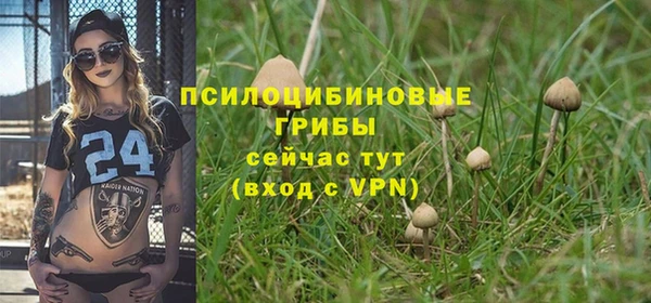 бошки Богданович