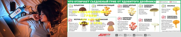 бошки Богданович