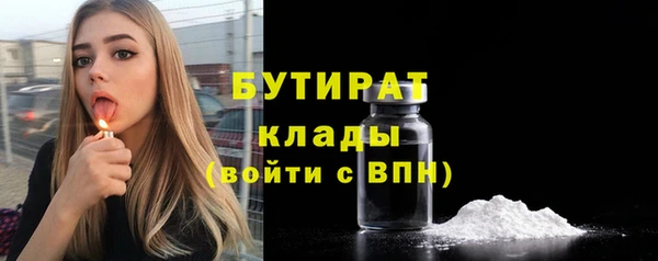 гидра Богородск