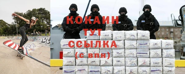 гидра Богородск