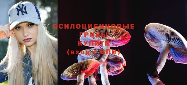 таблы Богородицк