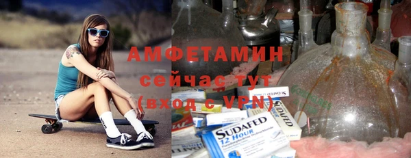 гидра Богородск
